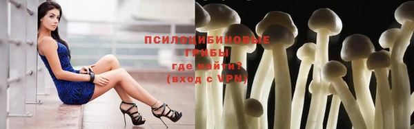 прущий лед Пролетарск